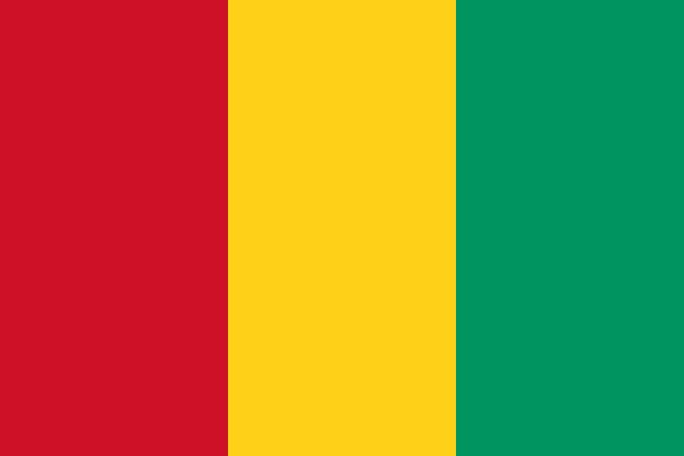 Diallo Mamadou Abdoulaye