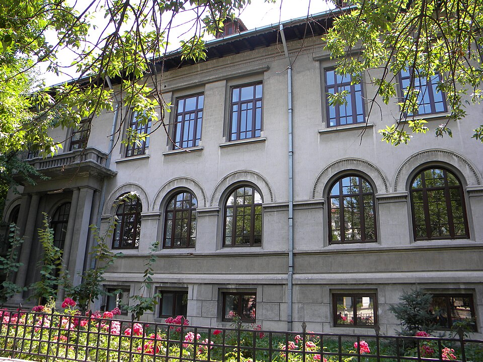 Diana Moș