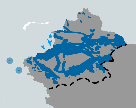 Dilnur