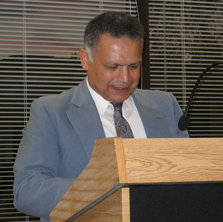 Dina Amin