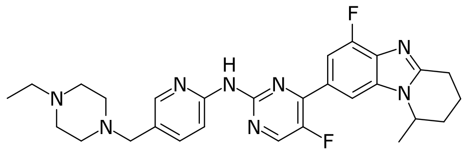 Ding Lieming