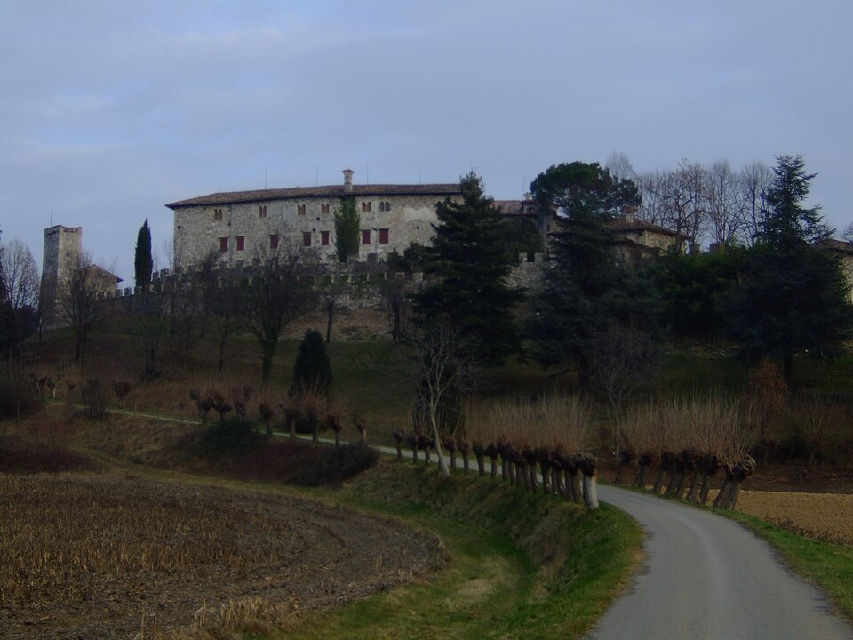 Dino Casarotto