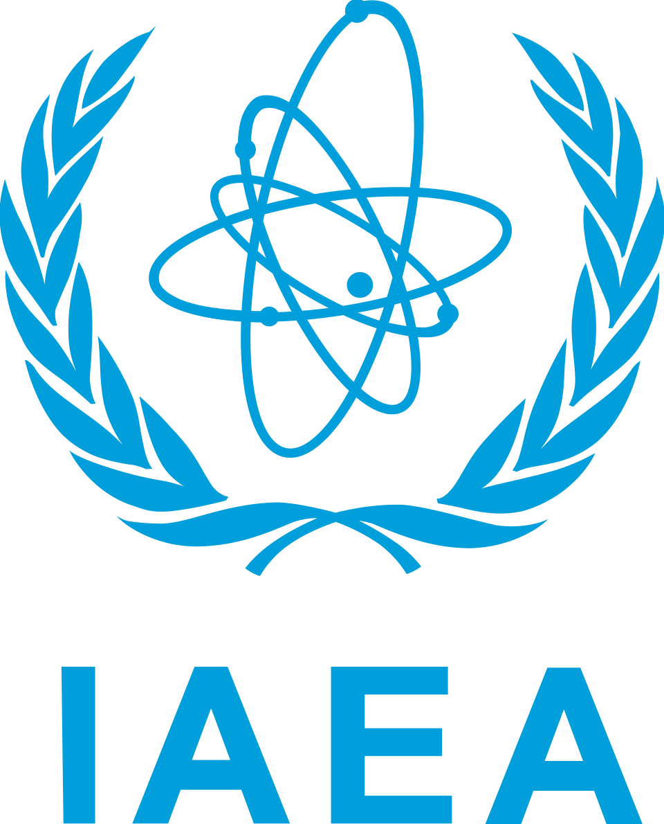 Director Of The International Atomic Energy Agency