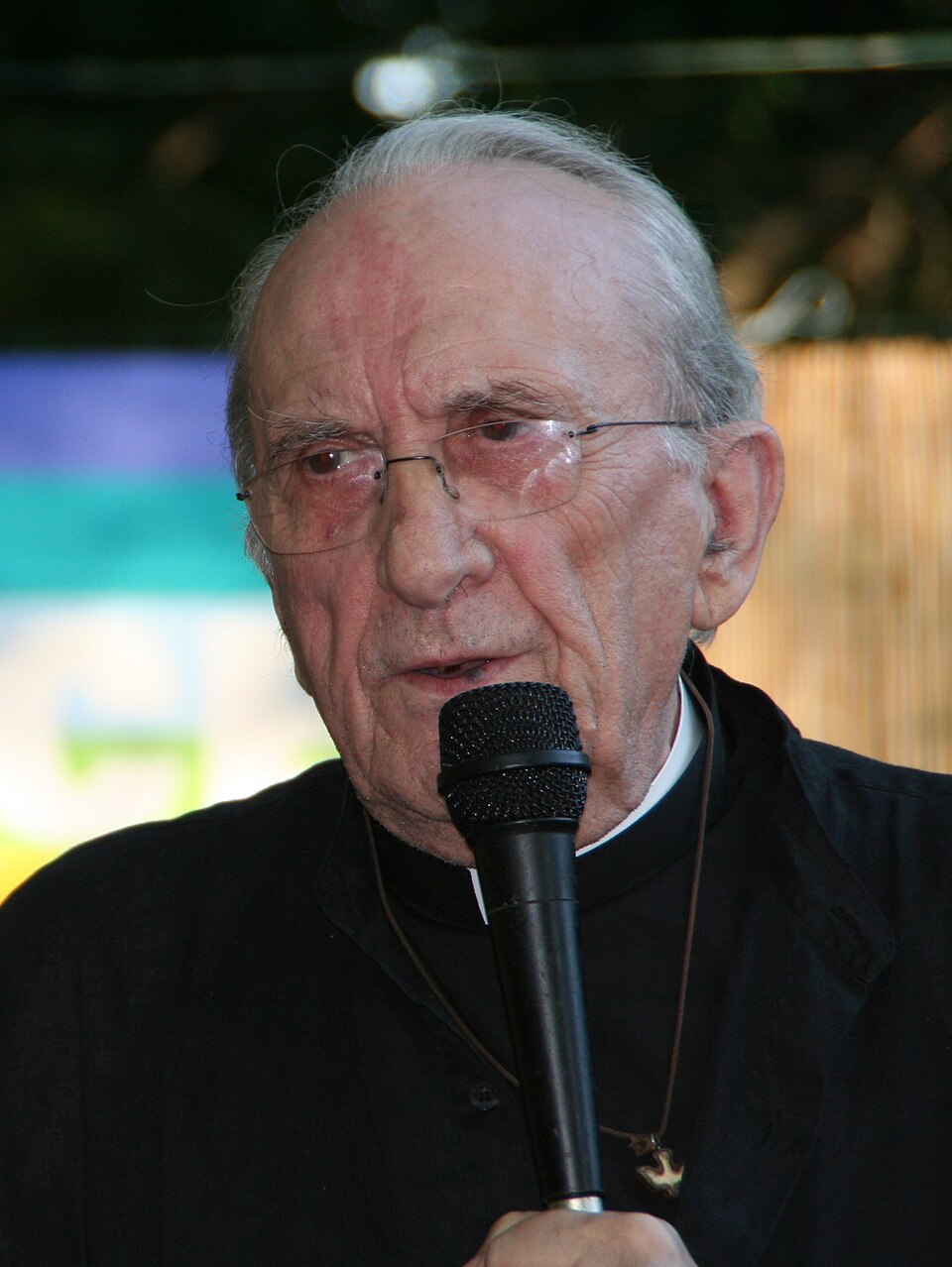 Don Gallo