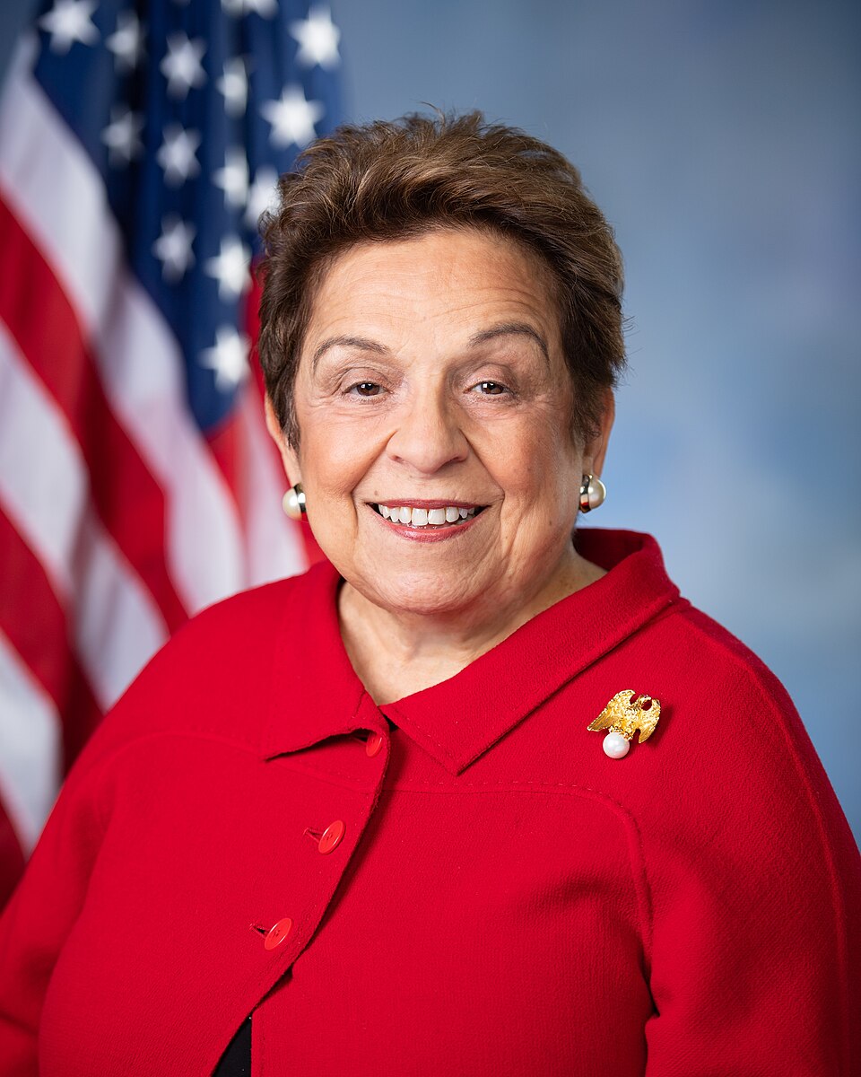 Donna Ashe