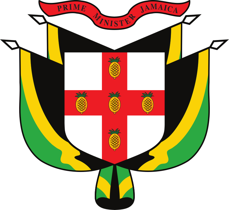 Dr Andrew Holness