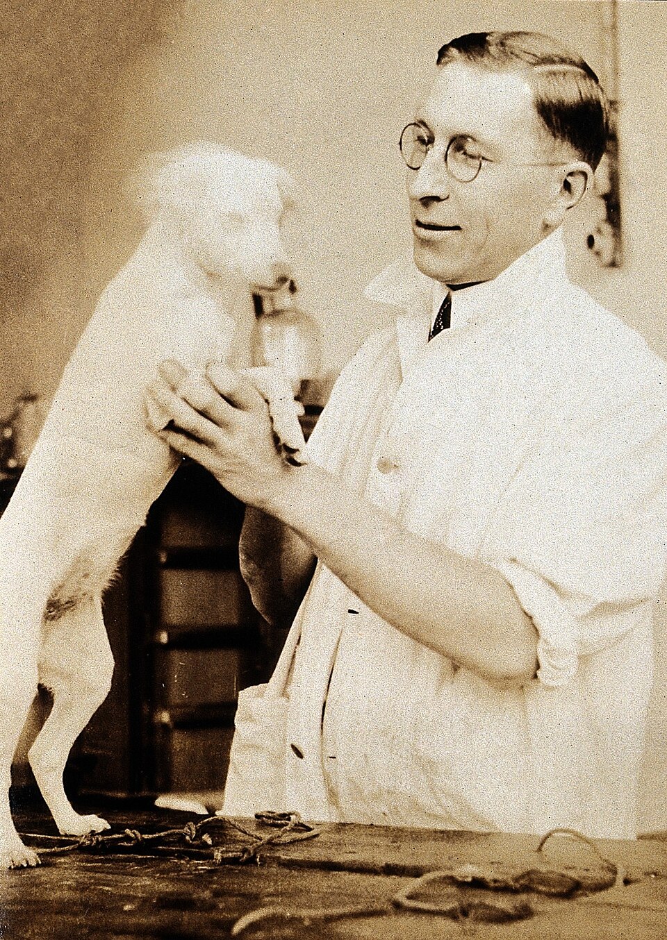 Dr Duncan Macdougall