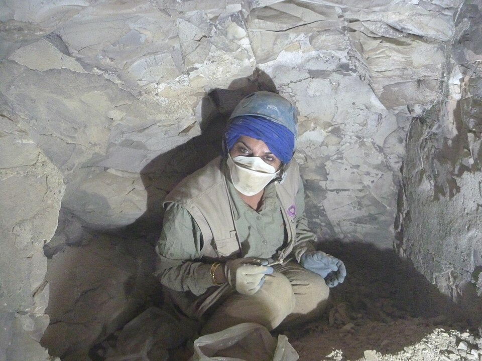 Dr. Ikram