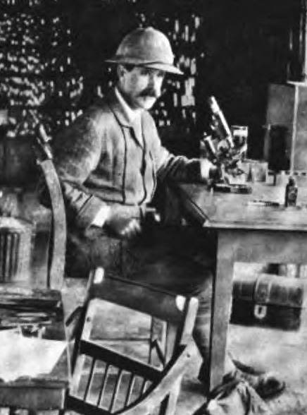 Dr Michael Cuthbert
