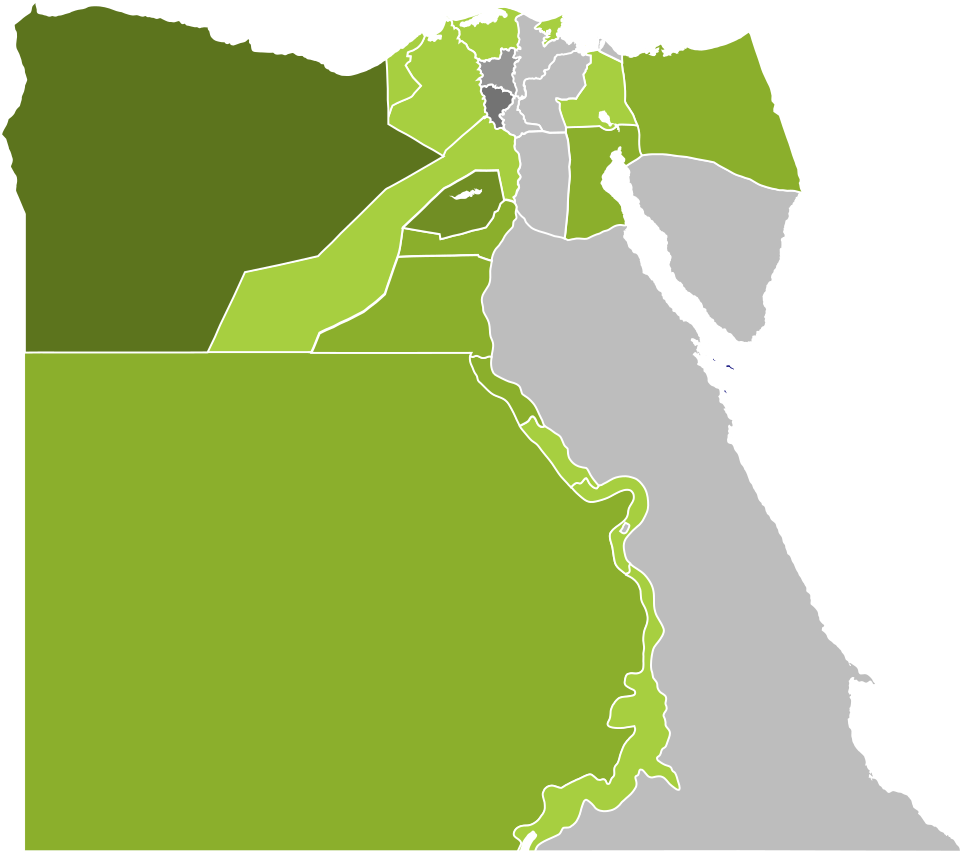 Dr. Mohamed Ismail Khaled