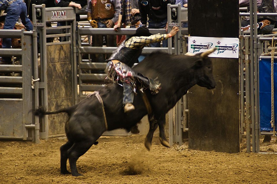 Dr. Scott A. Rodeo