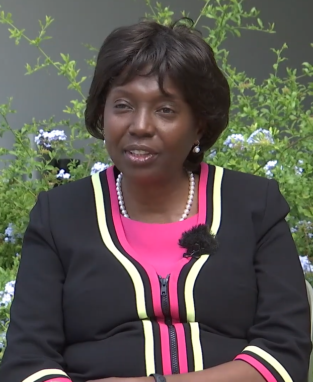 Dr Silvia Lutucuta