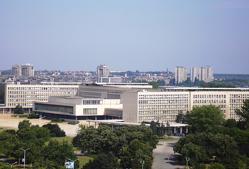 Dragi Domić