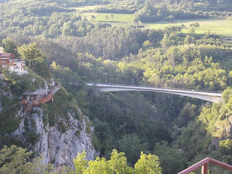 Dražen Bratulić