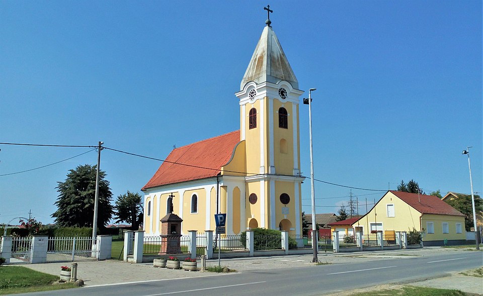 Dražen Tonkovac