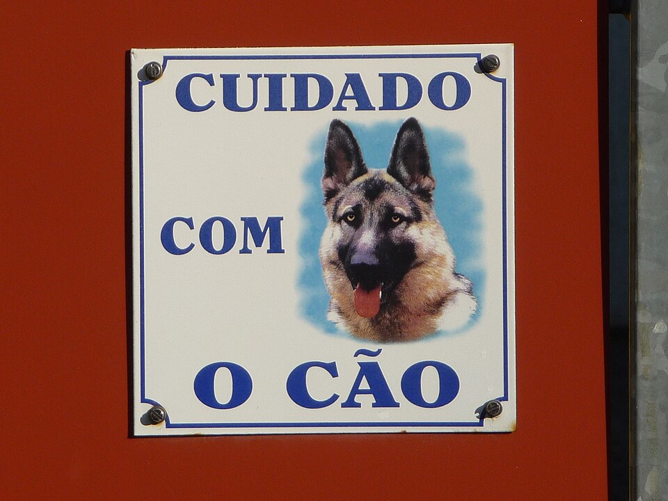 Dulcelina Martins