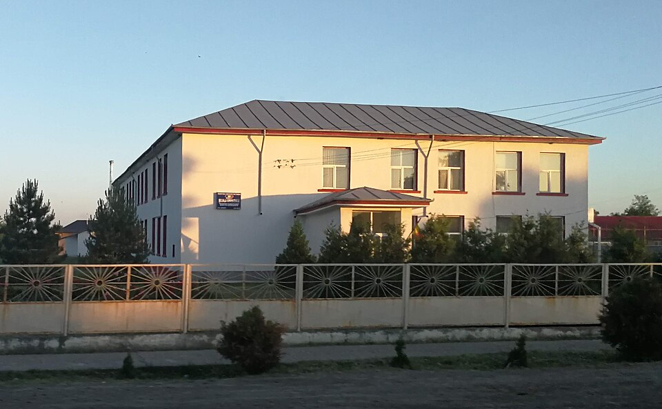Dumitru Bîrlădeanu