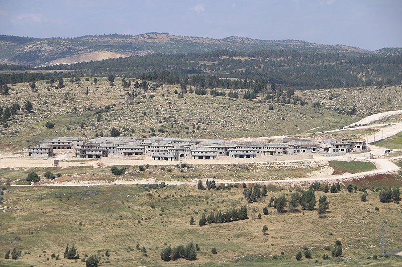 Eden Tzafrir