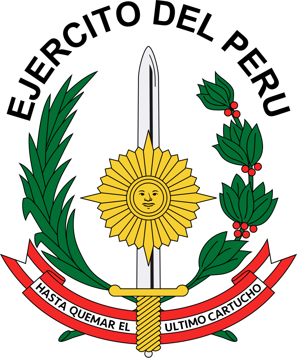 Edwin Vergara Castillo