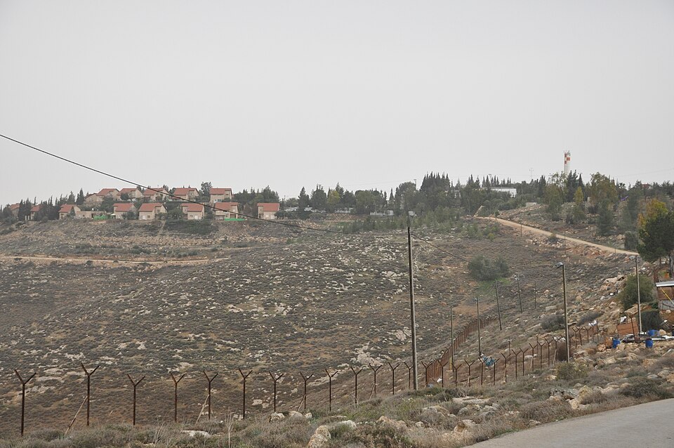 Elad Tana