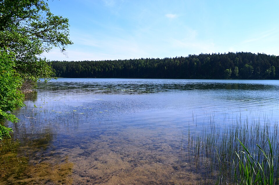 Elena Pranckėnaitė