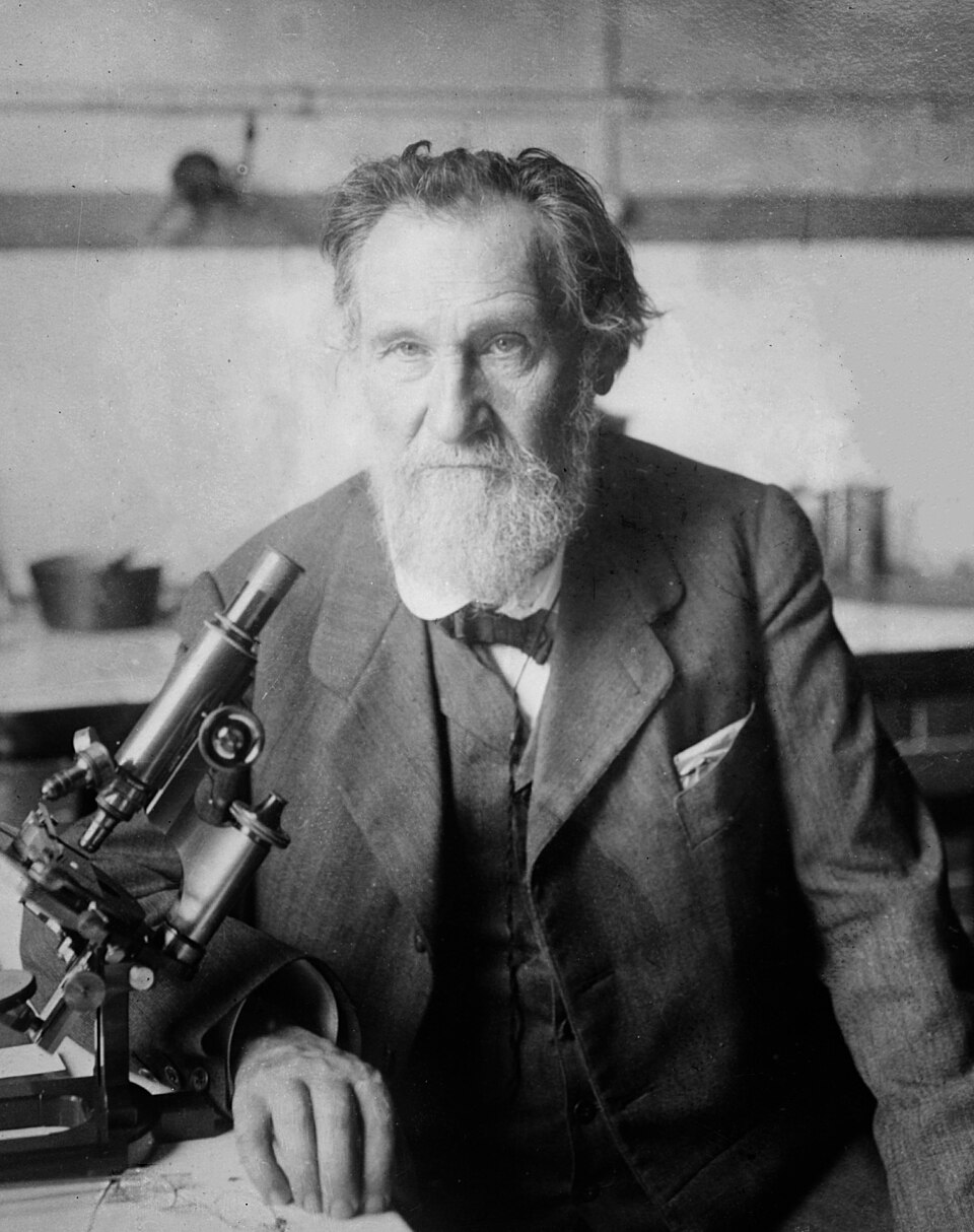 Elie Metchnikoff
