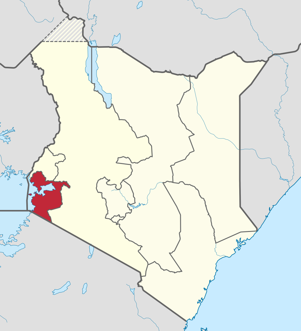 Elijah Nyachae