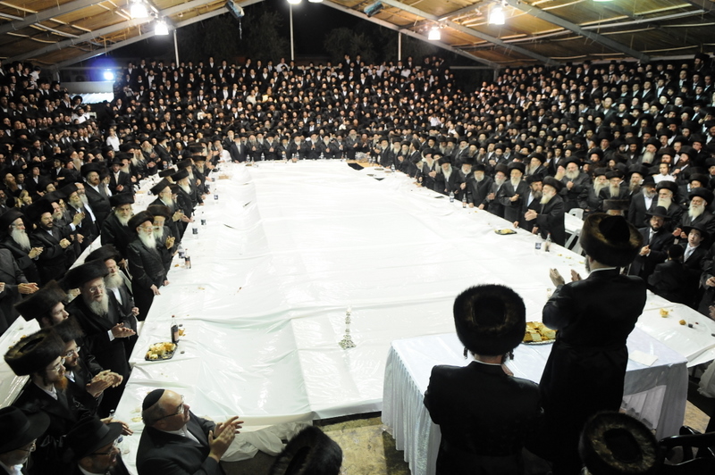 Elior Sofer