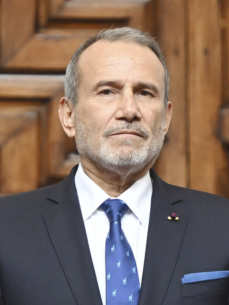 Elmer José Germán Gonzalo Schialer Salcedo