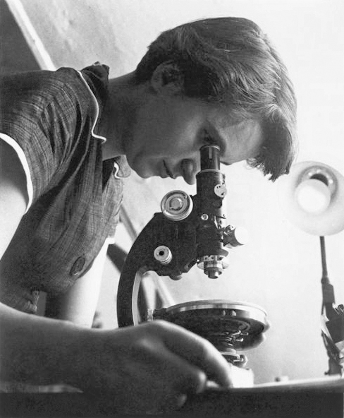 Elsie Randall