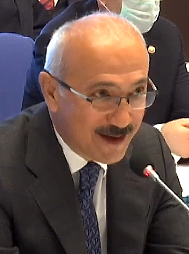Elvan Kaya