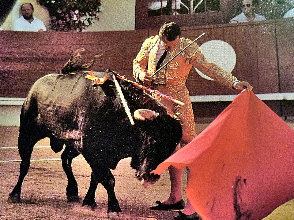 Enrique Manzanares