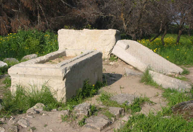 Ephraim Barak