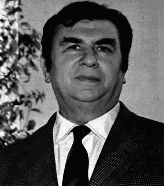 Ermanno Zanini