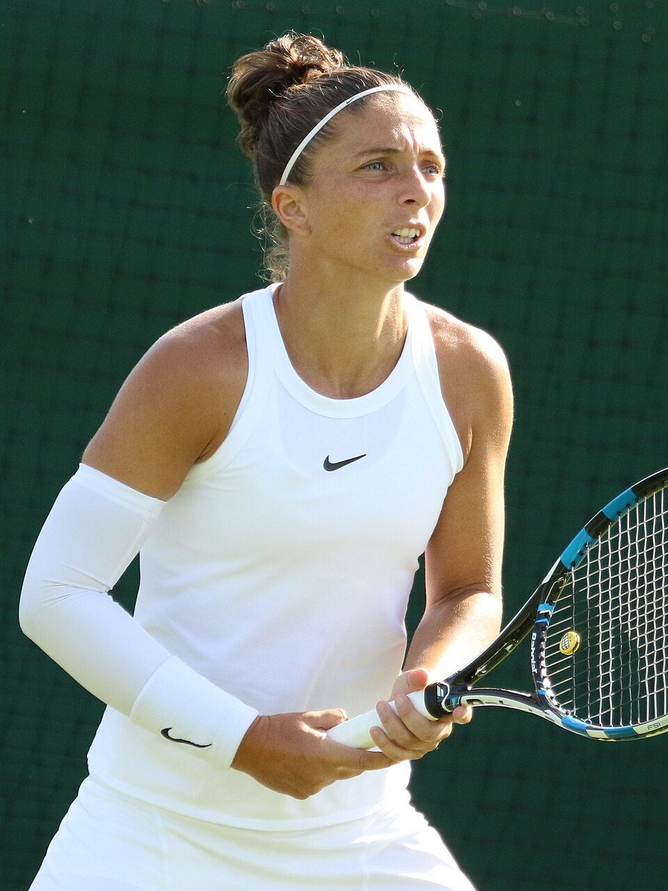Errani