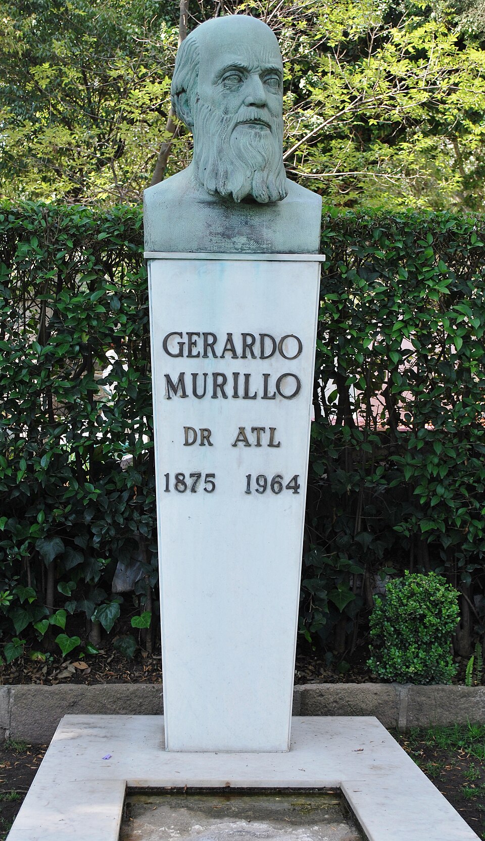 Evangelina Murillo