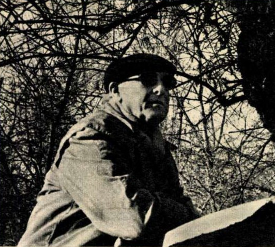 F. Brunea-Fox