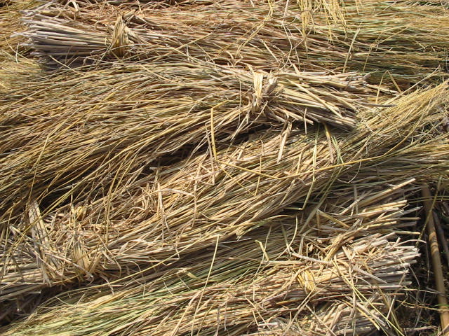 Fabjola