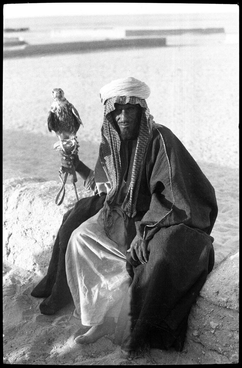 Faisal Al-Nafisi