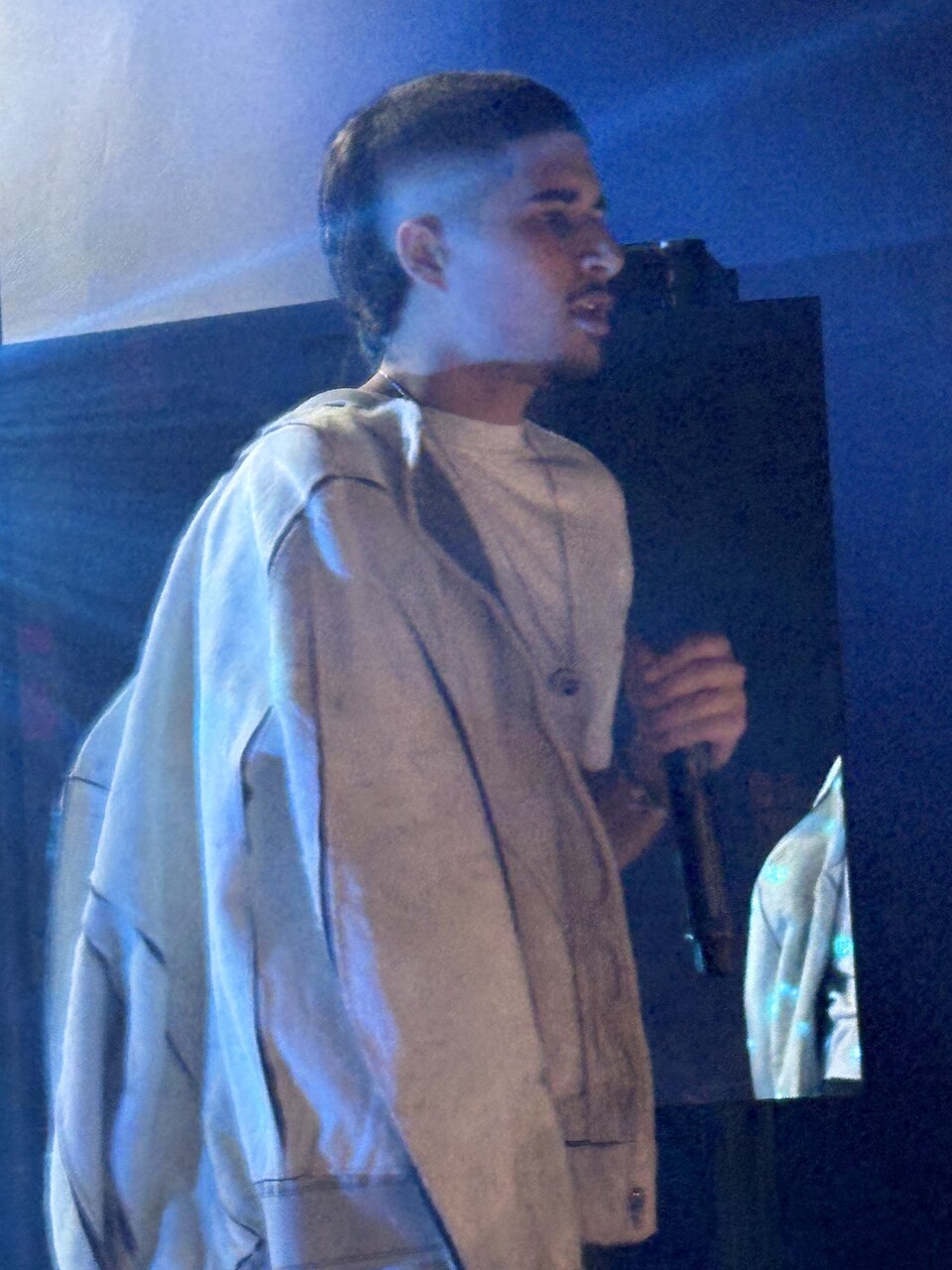 Fakemink