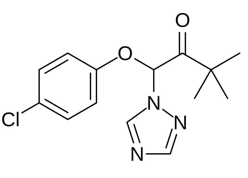 Fan Gaojie