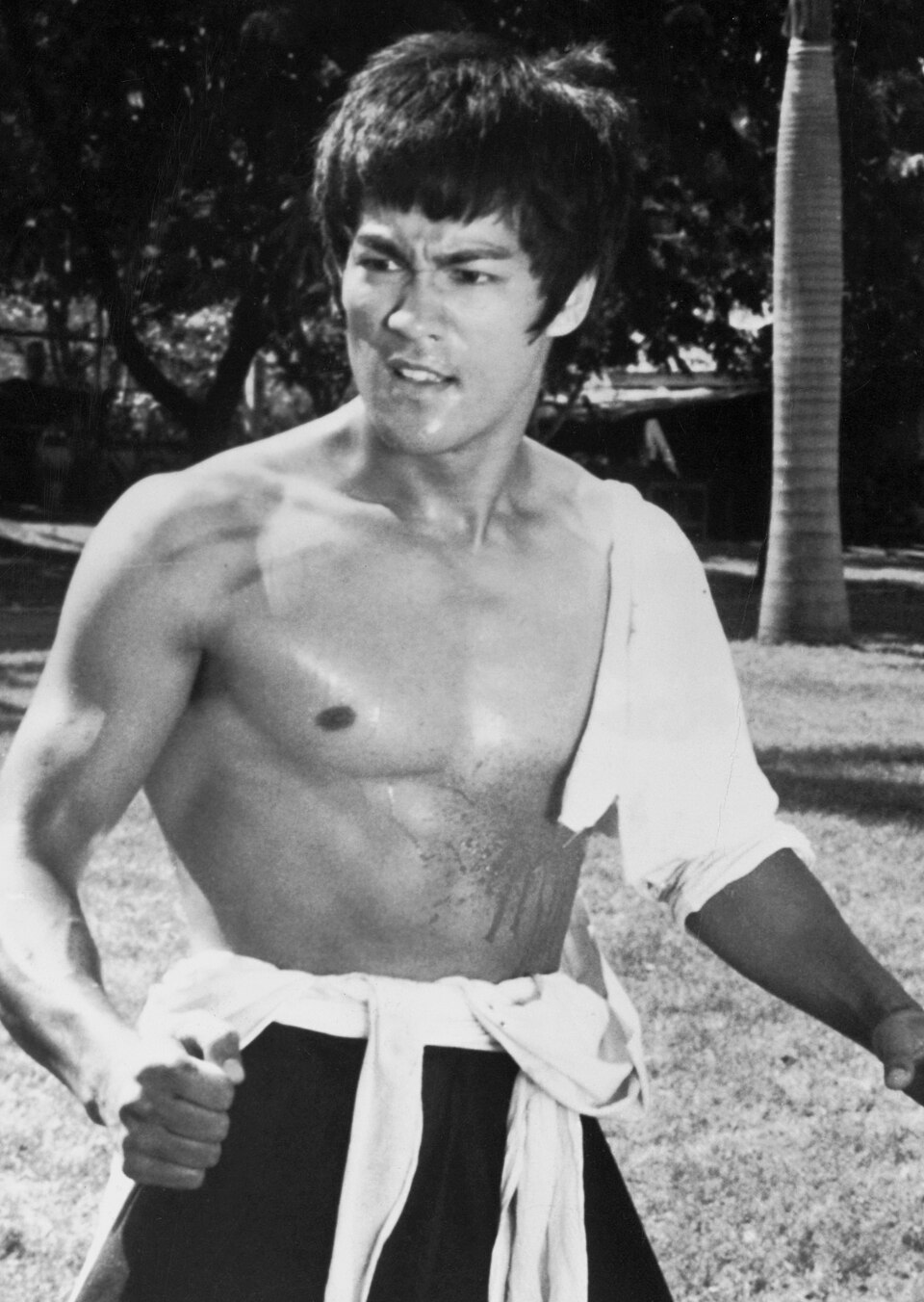 Fan Wei Li