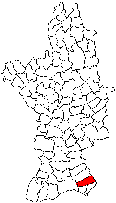 Fănel Bădici