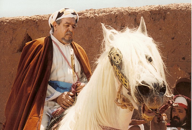 Fatima Al Hamadi