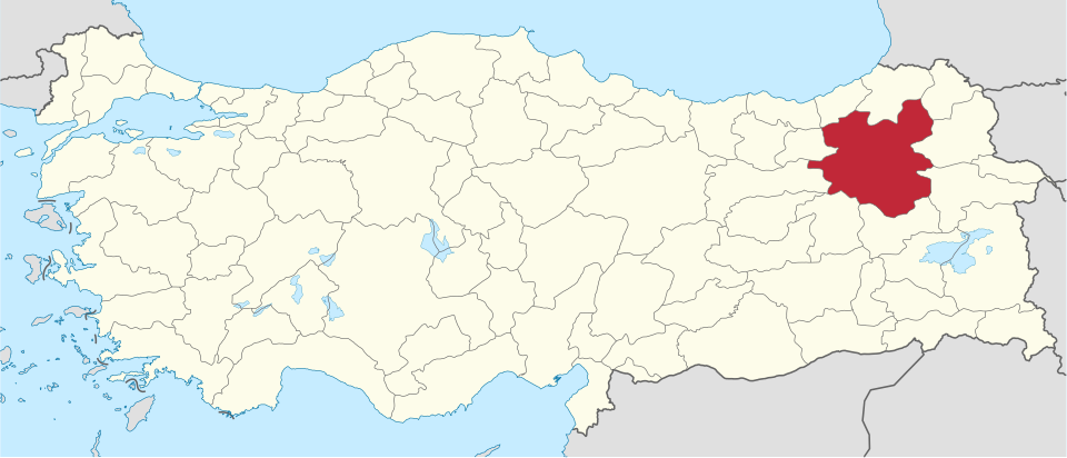 Fazilet Dağcı Çığlık