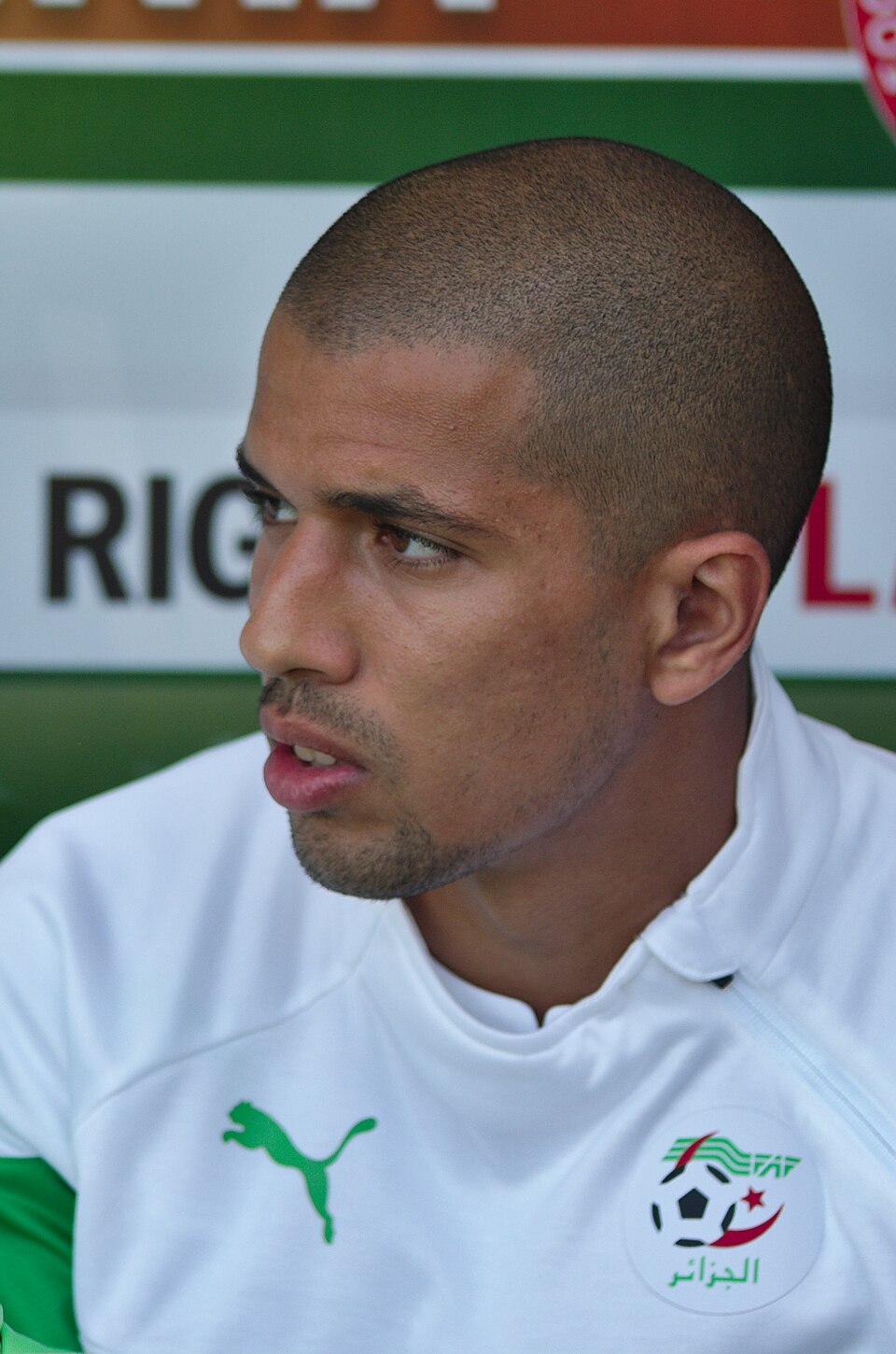 Feghouli