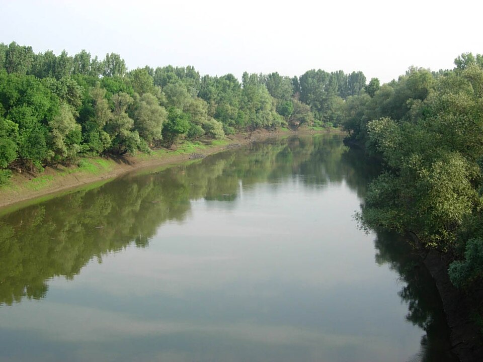 Fekete Gyula