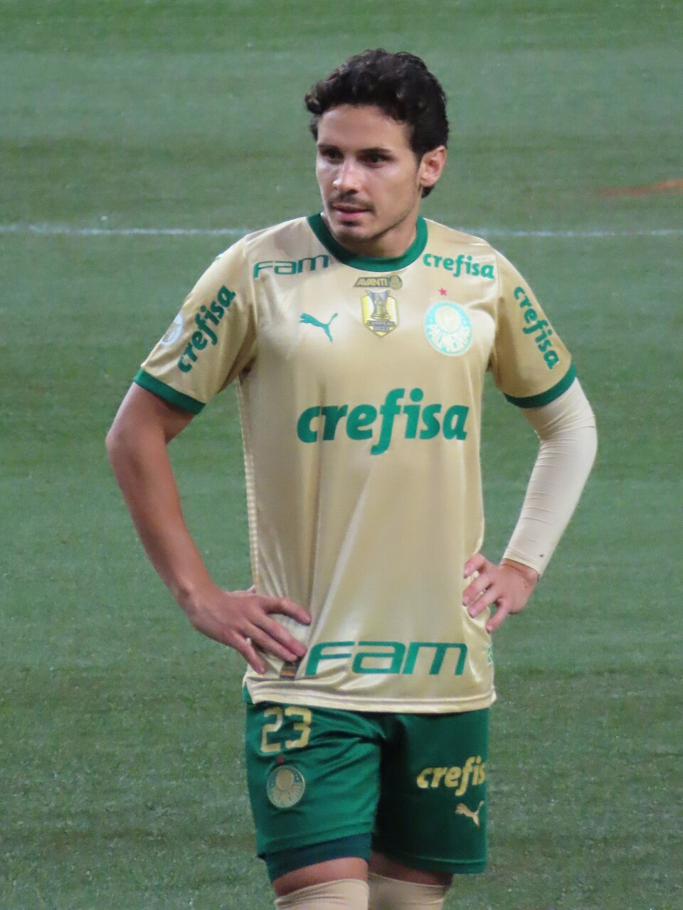 Felipe Veiga