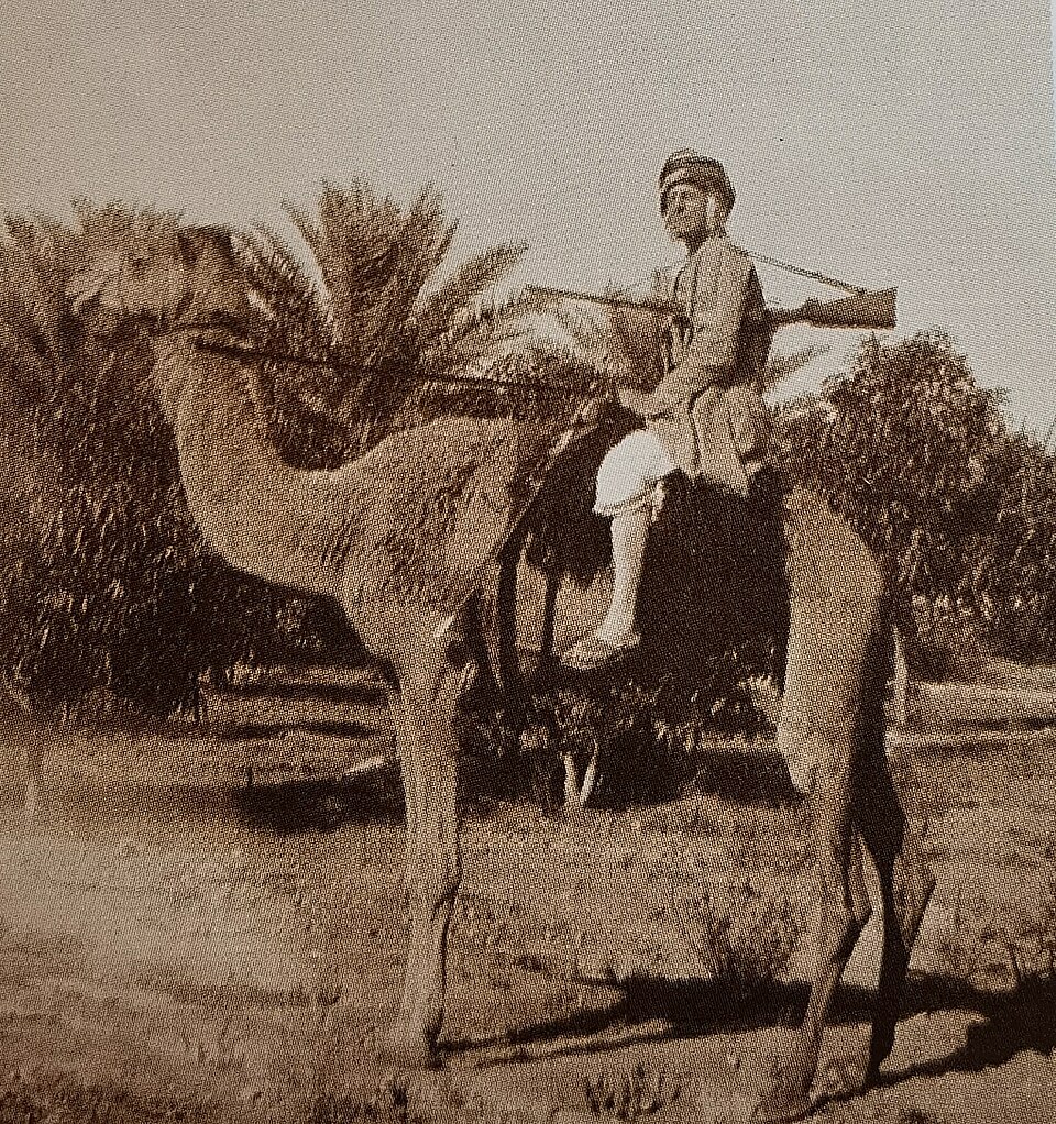 Felix Bertram