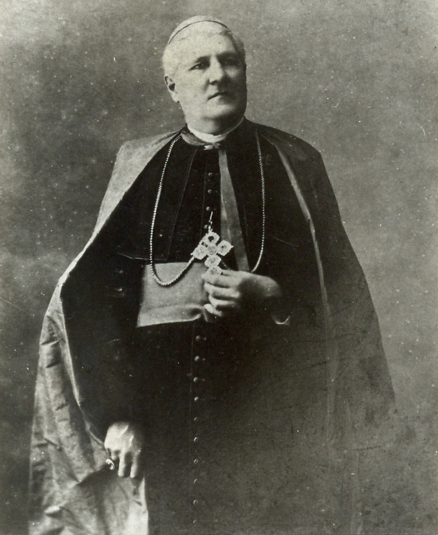 Fernando Antonio Arturo De Merino Y Ramirez